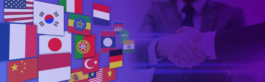 泰州小语种网站建设  第2张